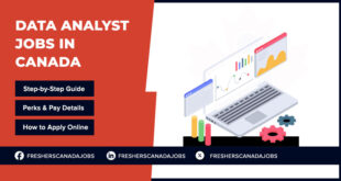 Data Analyst Jobs